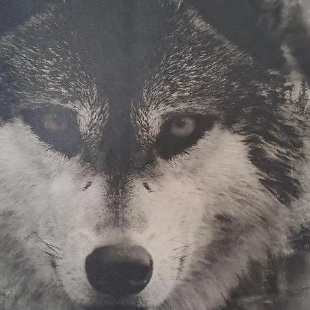 Feriehus Wilczy Zakatek,relaks W Srodku Lasu Niedaleko Jeziora Golubie,balia ,sauna *